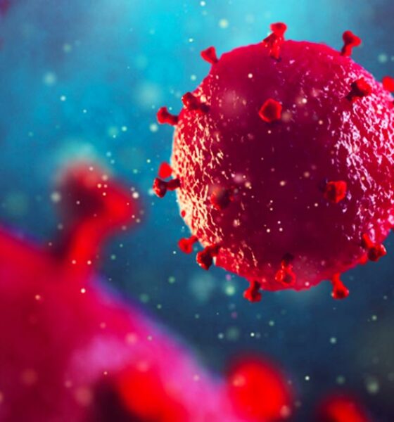 CBD zou HIV-infectie kunnen voorkomen