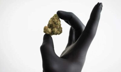 Vergoeding van cannabisbloemen in Duitsland