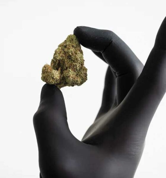 Vergoeding van cannabisbloemen in Duitsland