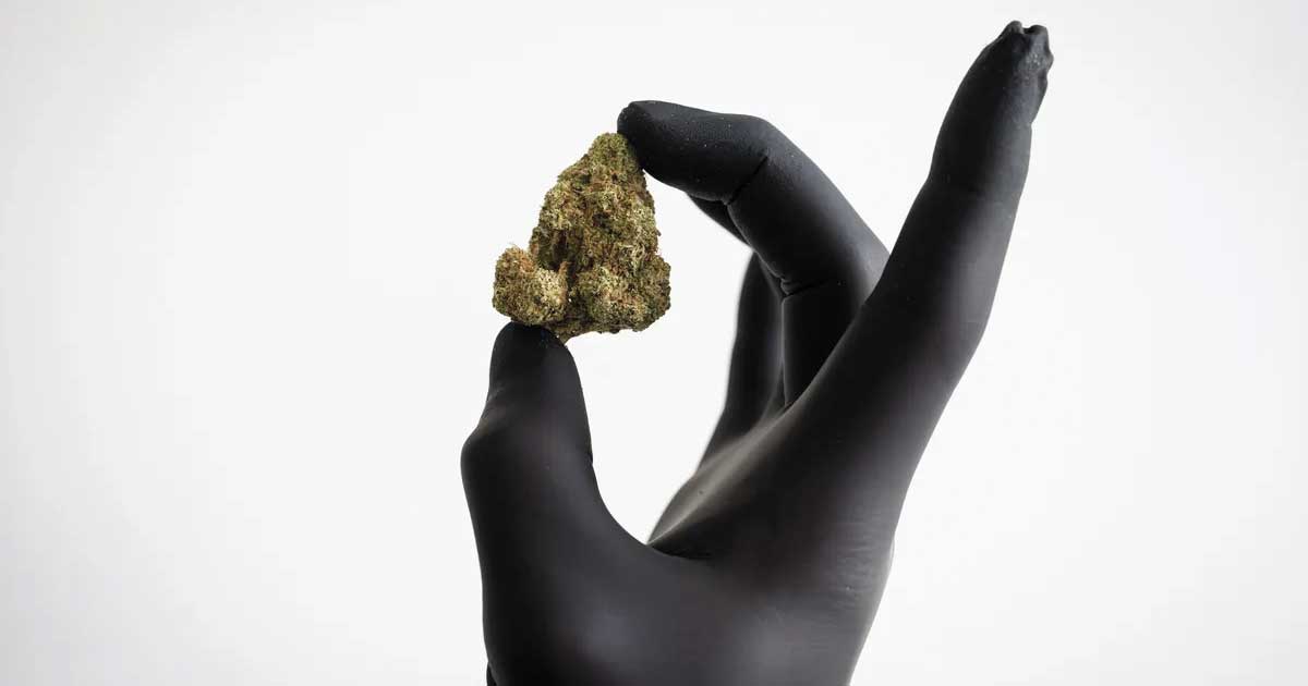 Vergoeding van cannabisbloemen in Duitsland