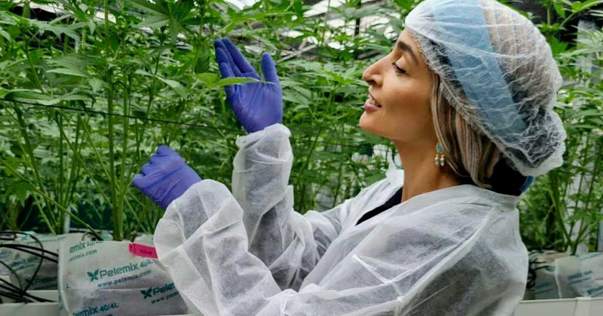 Turbo Cannabis in Israël