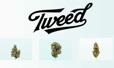 Tweed in Duitsland