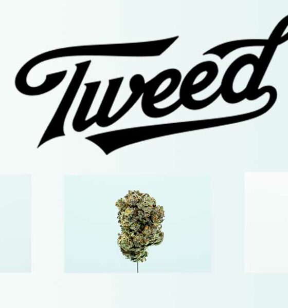 Tweed in Duitsland