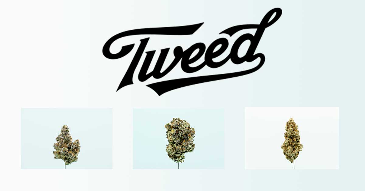Tweed in Duitsland
