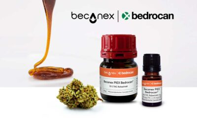Bedrocan cannabis concentraat