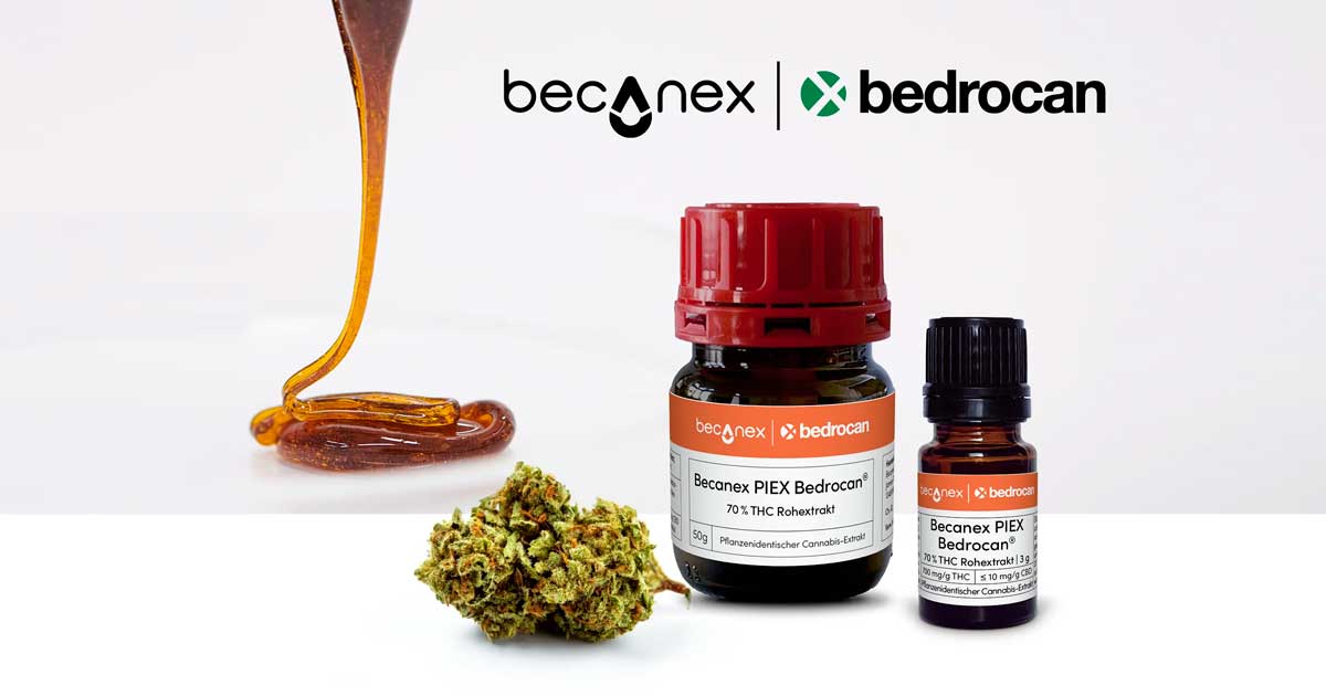 Bedrocan cannabis concentraat