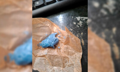 Blauwe hasj bij PINACA