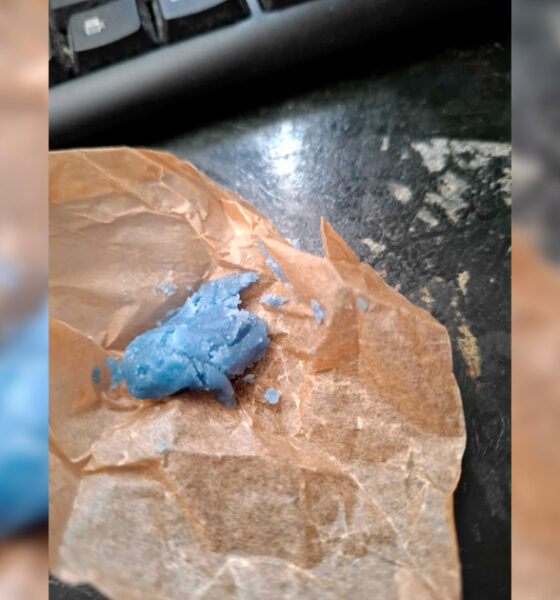 Blauwe hasj bij PINACA