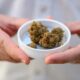 Medische cannabis importeren in Duitsland