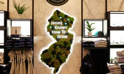 Cannabisapotheken in New Jersey