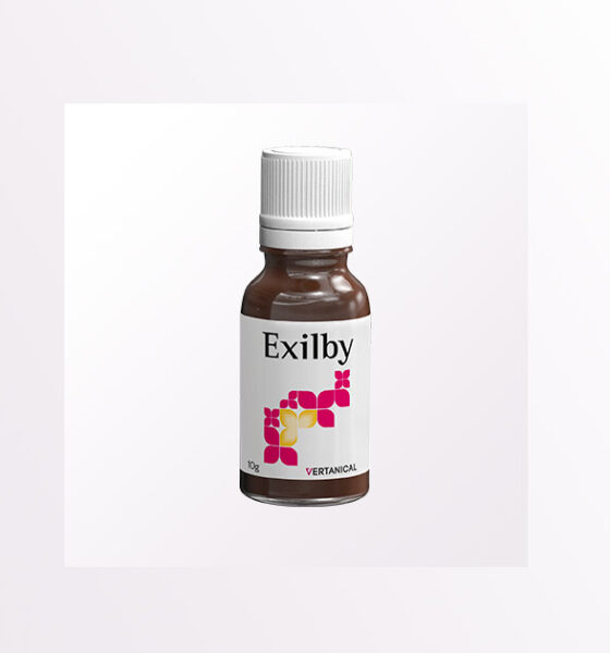 DE VER-10 Exilby van Vertanical