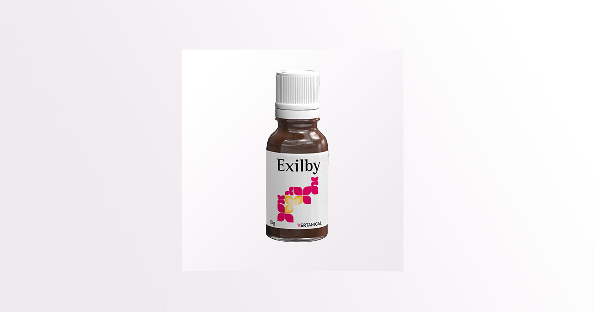 DE VER-10 Exilby van Vertanical