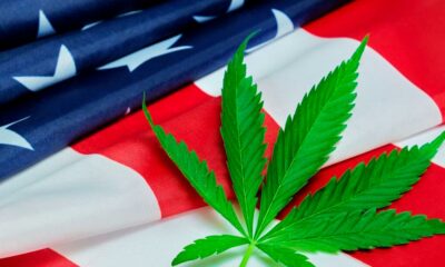 Start van de hoorzittingen van de DEA over de herclassificatie van cannabis