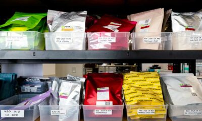 Trends op het gebied van medicinale cannabis in Duitsland