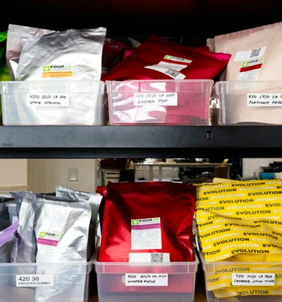 Trends op het gebied van medicinale cannabis in Duitsland