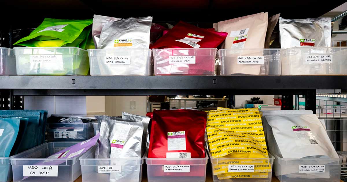 Trends op het gebied van medicinale cannabis in Duitsland