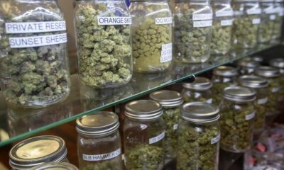 Belasting op illegale cannabisapotheken in Los Angeles