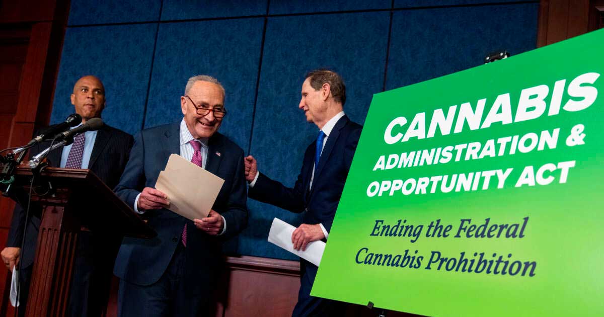 Voorstel voor de legalisering van cannabis in de Verenigde Staten