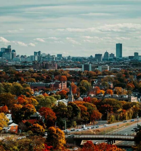 Intrekking van de legalisering van cannabis in Massachusetts