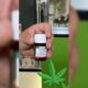 Voorschrift voor medicinale cannabis in Oekraïne
