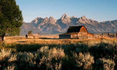 Wyoming weigert de herclassificatie van cannabis