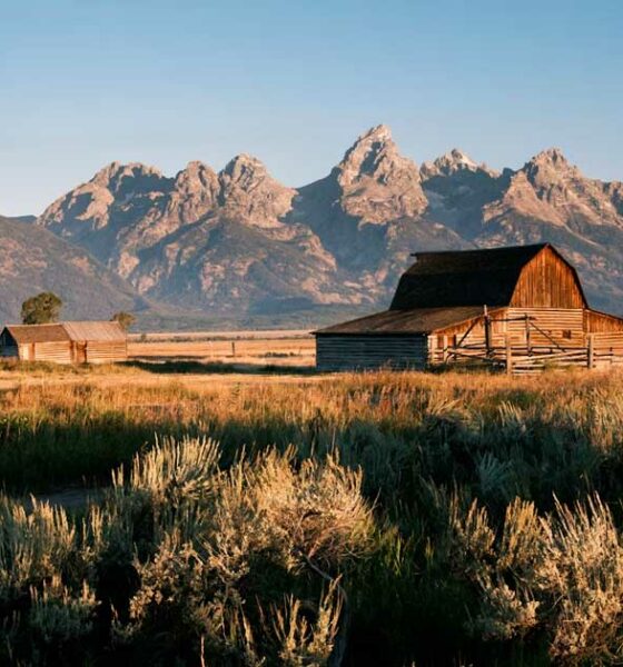 Wyoming weigert de herclassificatie van cannabis