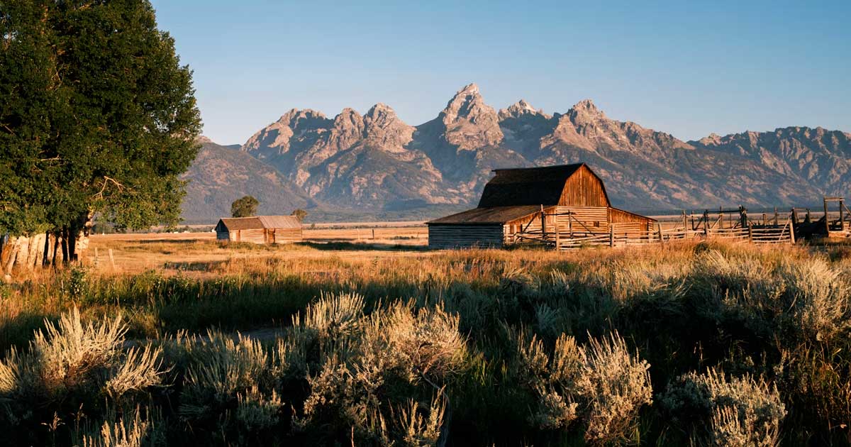 Wyoming weigert de herclassificatie van cannabis