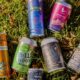 Het Amerikaanse Congres wil THC-drankjes redden