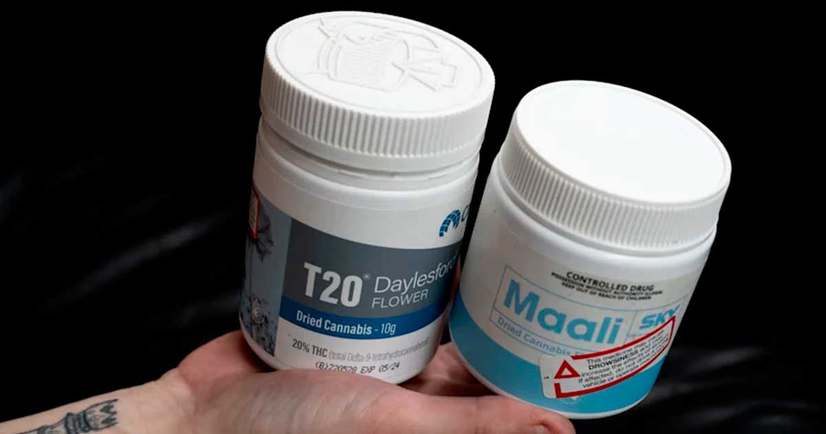 Explosieve stijging van het aantal recepten voor medicinale cannabis in Australië