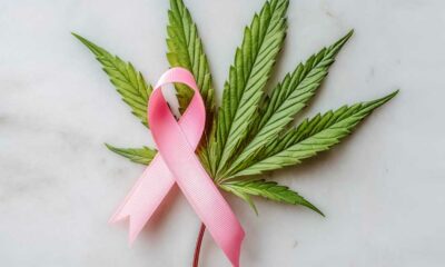 Borstkanker en cannabis