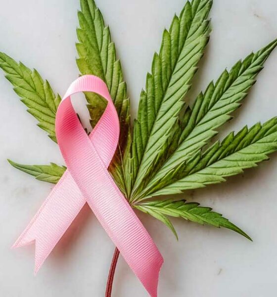 Borstkanker en cannabis
