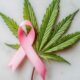 Borstkanker en cannabis