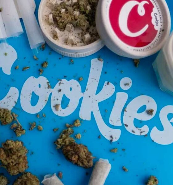 Cookies krijgt een boete