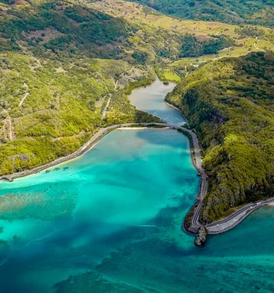 Decriminalisering van drugs op Mauritius