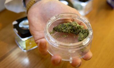Verkoop van cannabis in apotheken in Zwitserland