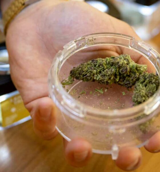Verkoop van cannabis in apotheken in Zwitserland