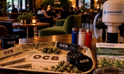 Franse cannabisbedrijven in het buitenland