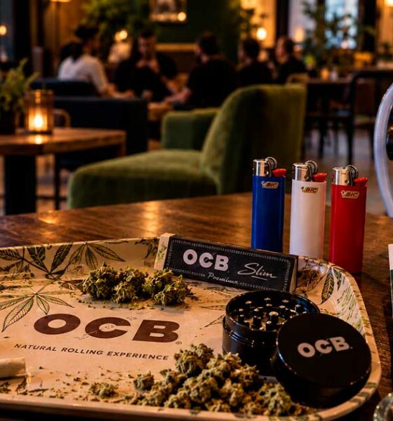 Franse cannabisbedrijven in het buitenland