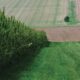 Export van industriële hennep vanuit Frankrijk