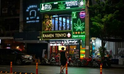 Thailand zet in op medicinale cannabis