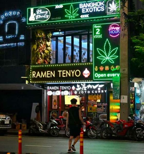 Thailand zet in op medicinale cannabis