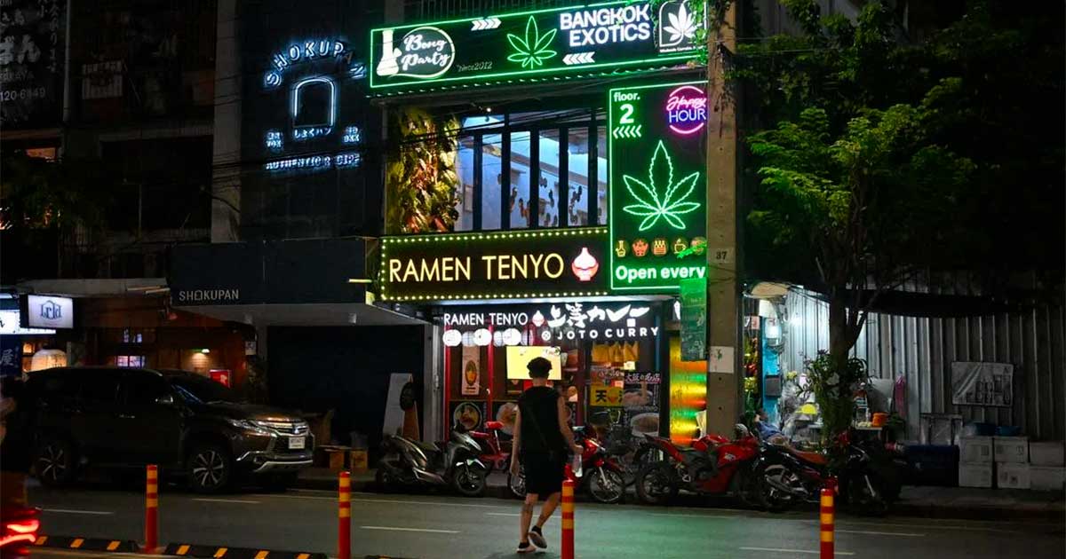 Thailand zet in op medicinale cannabis