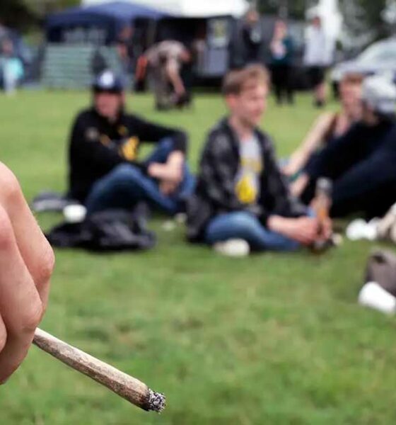 Cannabisgebruik onder tieners in de Verenigde Staten