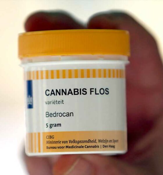 Faillissement van Bedrocan