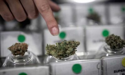 Cannabisclub in Chili