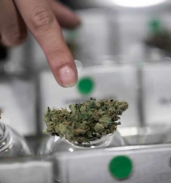 Cannabisclub in Chili