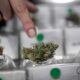 Cannabisclub in Chili