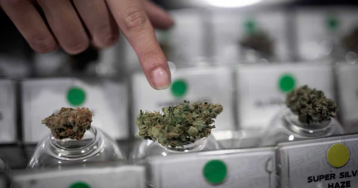 Cannabisclub in Chili