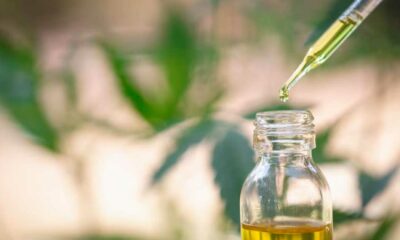 EFSA en synthetische CBD