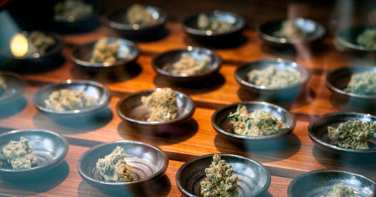 Bedrijven op het gebied van medicinale cannabis in de VS